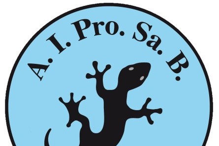 Associazione Italiana Progeria Sammy Basso APS Onlus